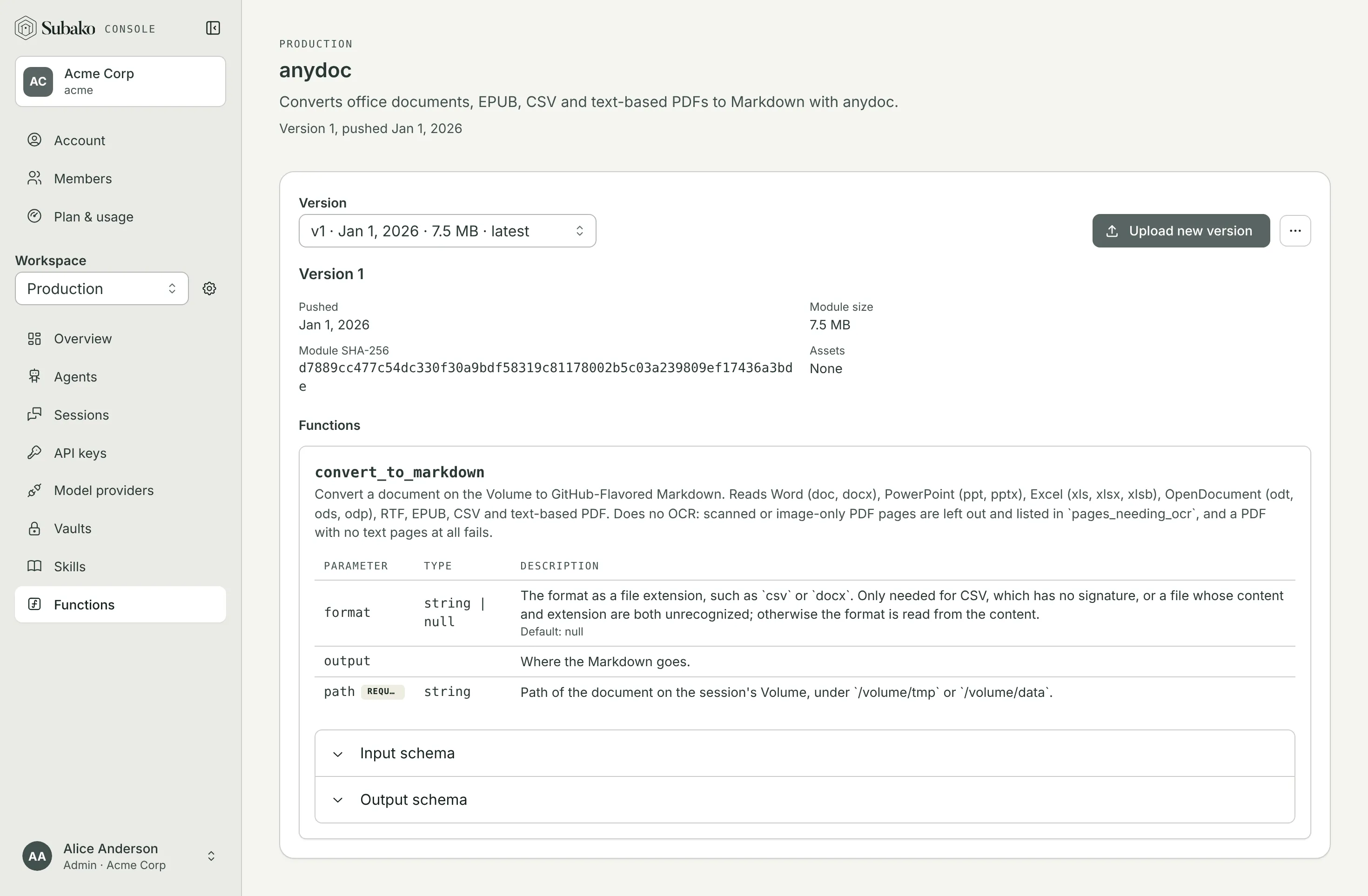 The anydoc package’s page: version 1, its build, and the convert_to_markdown tool with its parameters