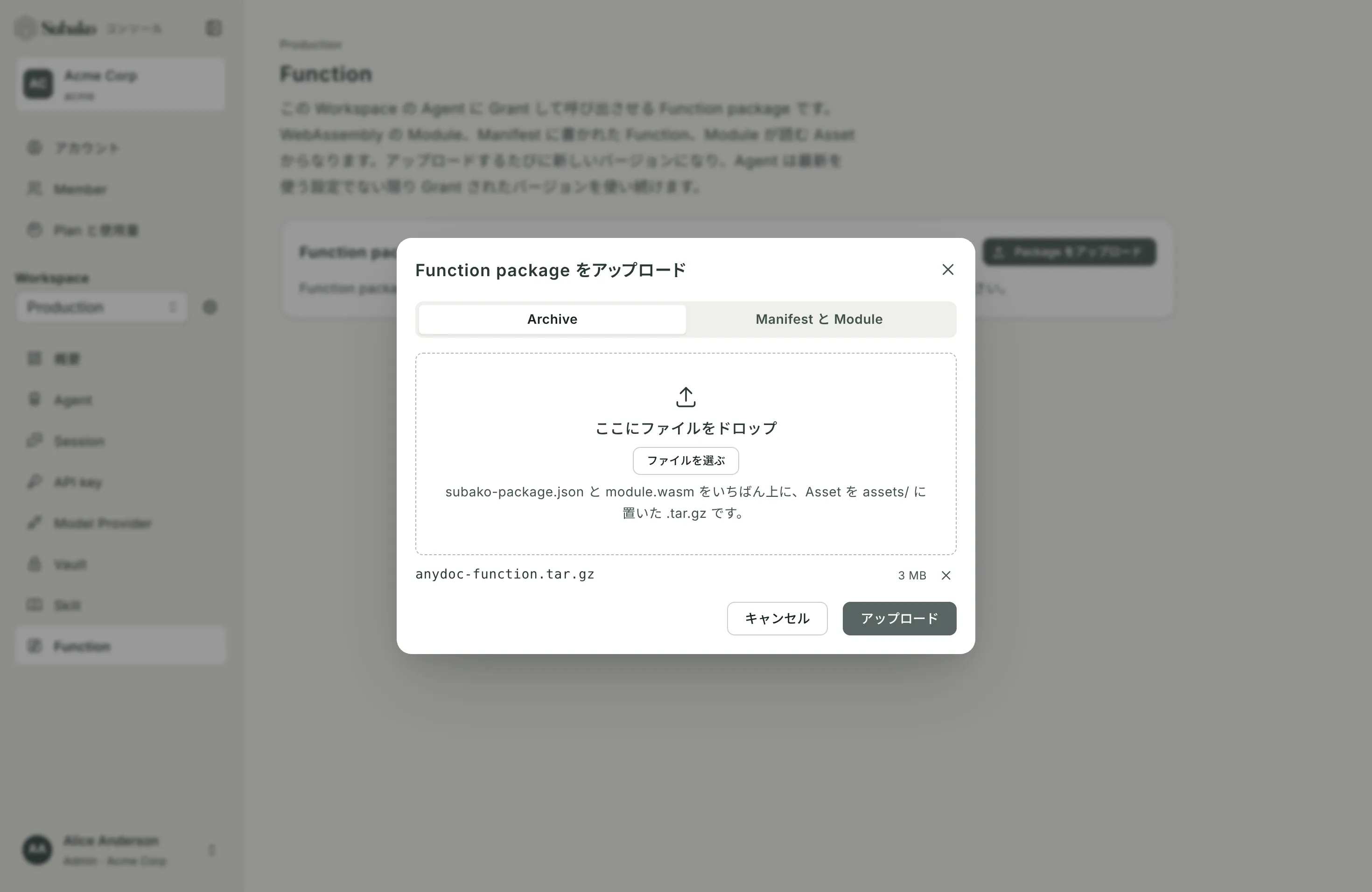 Function package のアップロード: anydoc の Archive を選択した状態